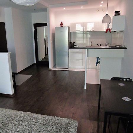 Mone - Fajny Apartament W Centrum Wroclawia Extérieur photo